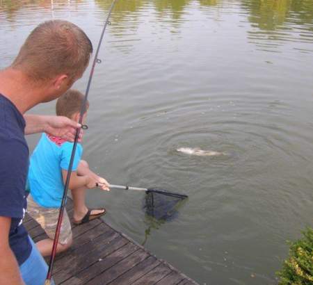 Une carpe - Avec une épuisette, le pêcheur fait attention au poisson au camping Étang des Haizes