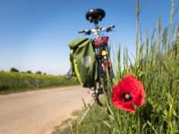 Balades à vélo sur les voies vertes et véloroutes de la Manche et du Cotentin