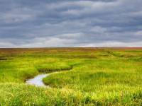 Les incontournables du Parc naturel régional des Marais du Cotentin et du Bessin