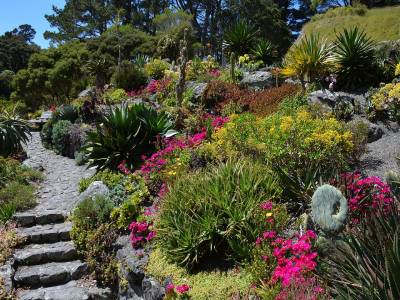 Visite du Jardin botanique de Vauville : un lieu unique à découvrir dans le Cotentin